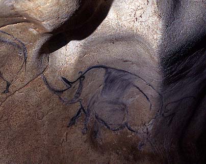 Photographie d'un dessin rupestre montrant un rhinoc�ros